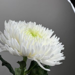 Букет Каприз от интернет-магазина «Цветочная Мастерская»в Колпашево